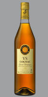 VS Cognac François Voyer *